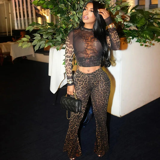 Leopard Print Mesh 2 Piece Set